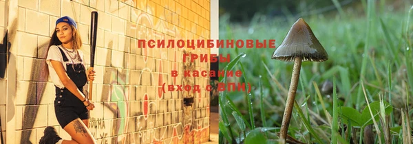 MESCALINE Каменногорск
