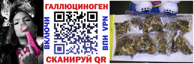 купить наркоту  Пестово  Галлюциногенные грибы Psilocybine cubensis 